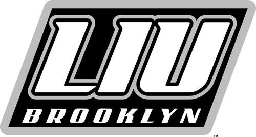 LIU-Brooklyn Blackbirds 2008-Pres Alternate Logo v2 iron on transfers for clothing